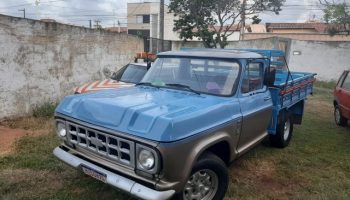 Chevrolet D10 carroceria de madeira 1981