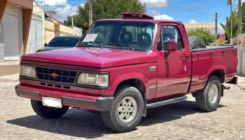 Chevrolet D20 Custom De Luxe 1993