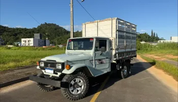 Toyota Bandeirante longa carroceria boiadeira 1995